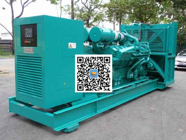 九真镇租赁发电机-康明斯发电机性价比还是比较高的